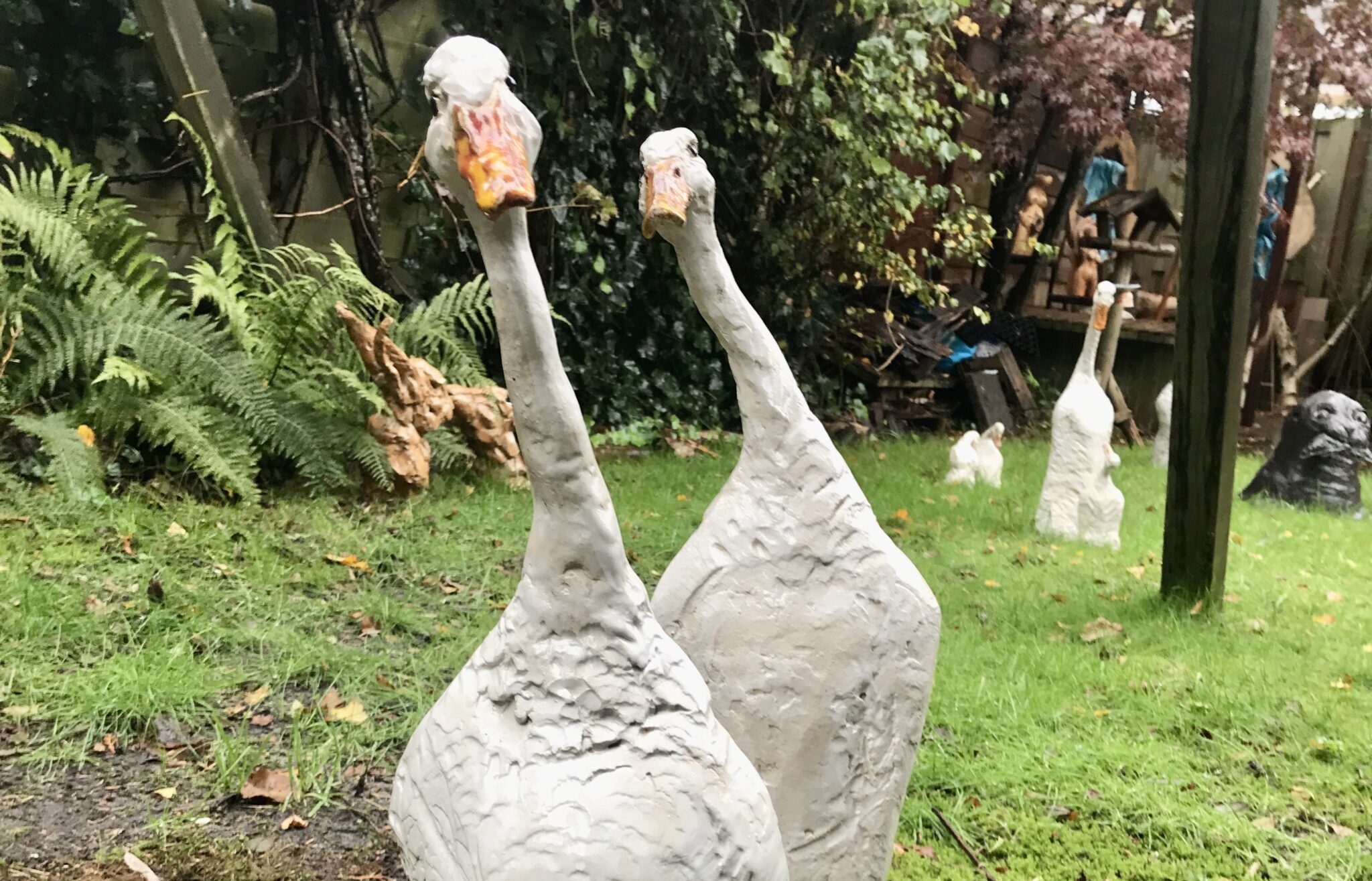 Klankschalen En Vrolijke Liedjes In De Tuin Van Kapitein Rommel De