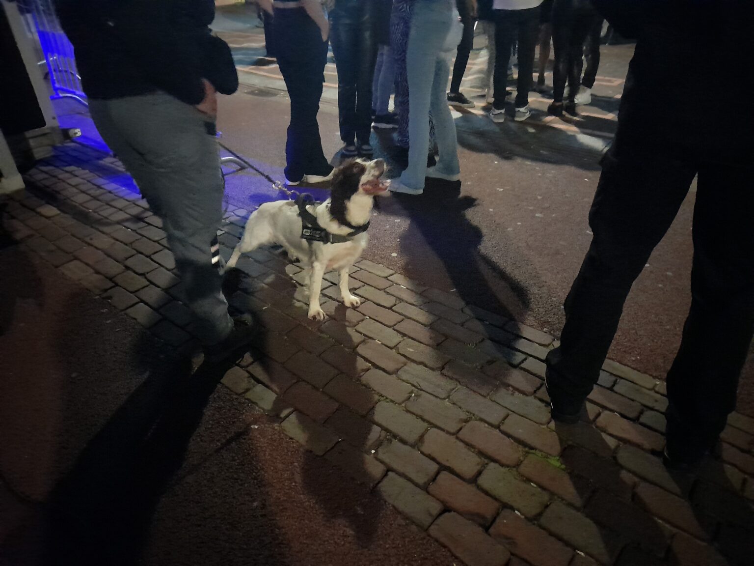 Politie Zet Speurhond In Om Uitgaanspubliek Op Drugsbezit Te ...