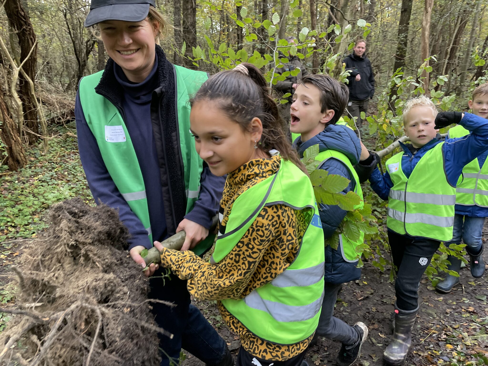 MeerBomenNu En PWN Oogsten Eerste Bomen In Noord-Hollands Duinreservaat ...