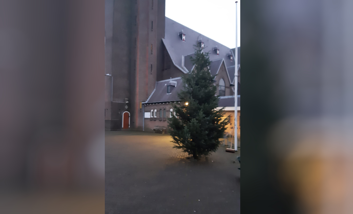 Wie kleedt deze kale kerstboom aan? De Castricummer