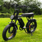 ouxi v8 fatbike